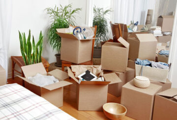 Furniture Removalist Experts