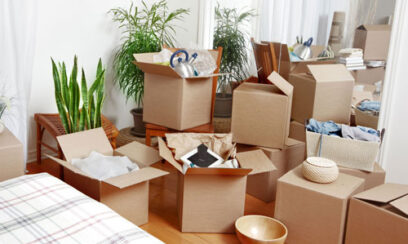 Furniture Removalist Experts